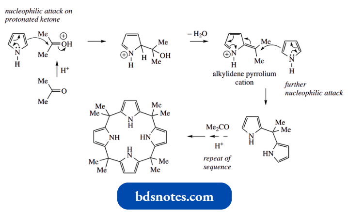 Heterocycles Porphyrins And Corrins