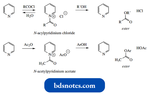 Heterocycles Primary Alkyl Halides