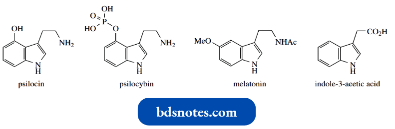 Heterocycles Psilocin And Psilocybin
