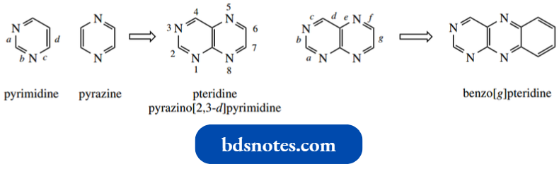 Heterocycles Pteridines