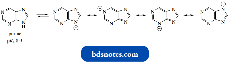 Heterocycles Purine Has An Acidic pKa
