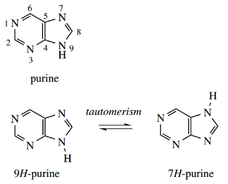 Heterocycles Purines