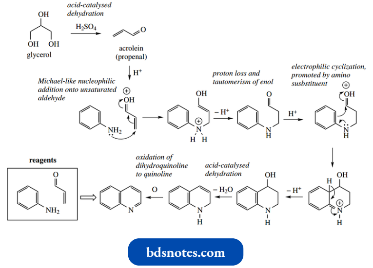 Heterocycles Skraup Synthesis