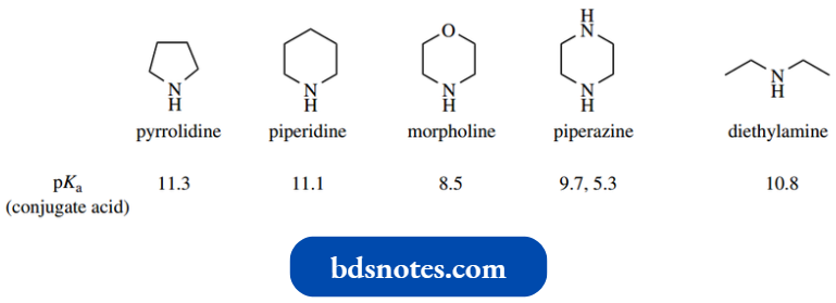 Heterocycles The Basicities Of The Nitrogen