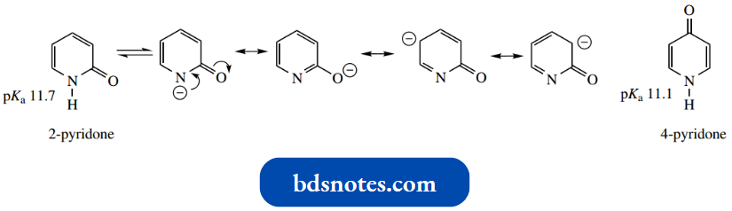 Heterocycles The Carbonyl Group