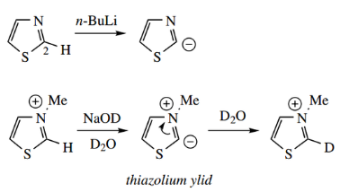 Heterocycles Thiazolium Ylid