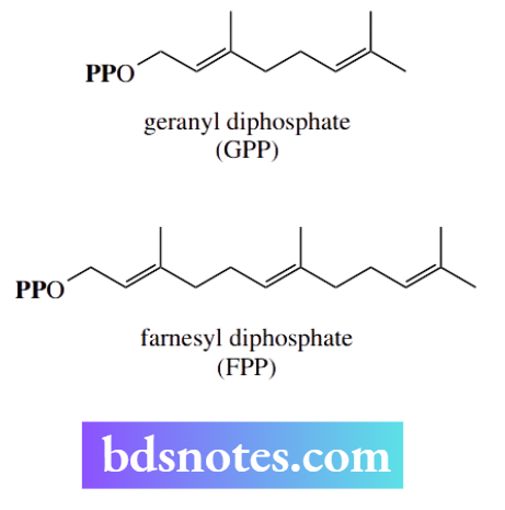 Nucleophilic Reactions Nucleophilic Substitution Although both SN2 and SN1 mechanisms