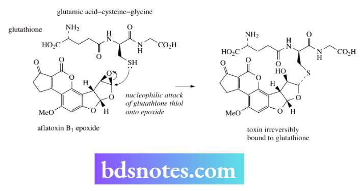 Nucleophilic Reactions Nucleophilic Substitution Glutathione Tripettide