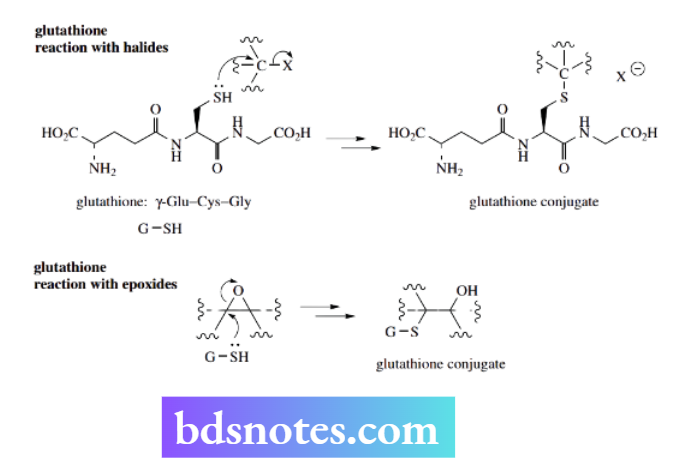 Nucleophilic Reactions Nucleophilic Substitution Glutathione