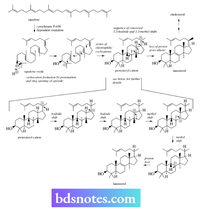 Nucleophilic Reactions Nucleophilic Substitution Squalence