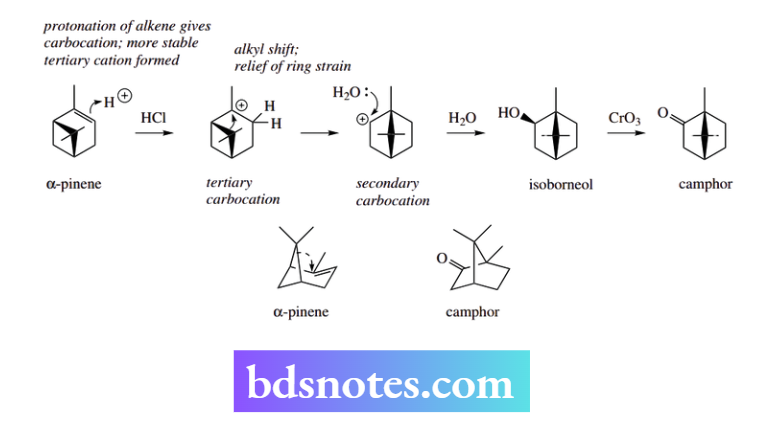 Nucleophilic Reactions Nucleophilic Substitution camphor
