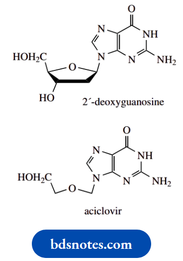Nucleosides Nucleotides And Nucleic Acids Aciclovir