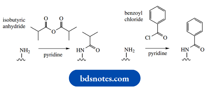 Nucleosides Nucleotides And Nucleic Acids Protection