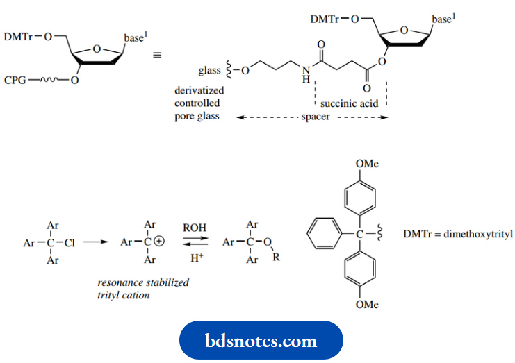 Nucleosides Nucleotides And Nucleic Acids Reasonance Stabilized Tri cation