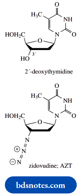 Nucleosides Nucleotides And Nucleic Acids Zidovudine