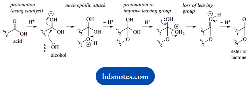 Organic Chemistry Of Pharmacy Questions And Answers Acid Catalysed Lactone Formation