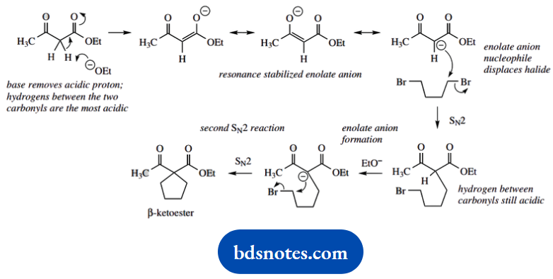 Organic Chemistry Of Pharmacy Questions And Answers Base Removes Acidic Proton Hydrogen Between The Two Carbonals Are The Most Acidic