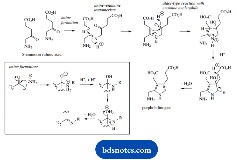 Organic Chemistry Of Pharmacy Questions And Answers Biosynthetic Sequence