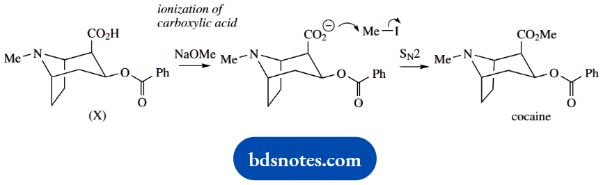 Organic Chemistry Of Pharmacy Questions And Answers Carboxylate Anion Is The Nucleophile