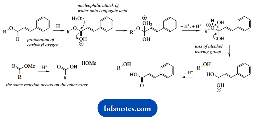 Organic Chemistry Of Pharmacy Questions And Answers Cinnamoylcocaine Is A Diester