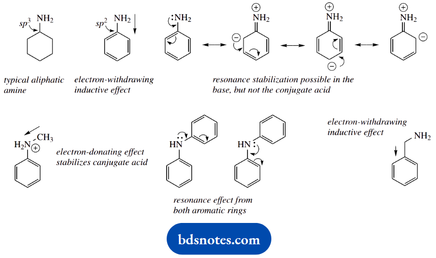 Organic Chemistry Of Pharmacy Questions And Answers Cyclohexylamine Is Typical Of An Aliphatic Amine