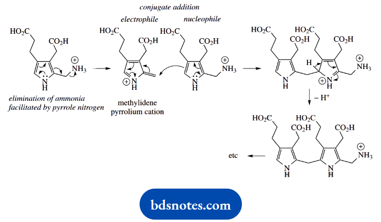 Organic Chemistry Of Pharmacy Questions And Answers Linear Tetrapyrrole Has Methylene Bridges Between Pyrrole Rings 