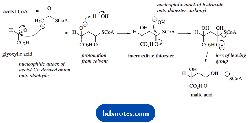 Organic Chemistry Of Pharmacy Questions And Answers Nucleophilic Addition To An Aldehyde