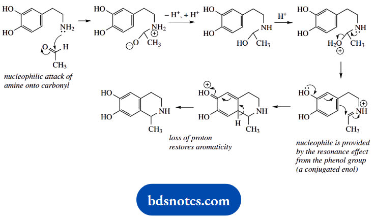Organic Chemistry Of Pharmacy Questions And Answers Pictet Spengler Tetrahydroisoquinoline Synthesis