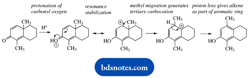 Organic Chemistry Of Pharmacy Questions And Answers Protonation Of Carbonyl Oxygen