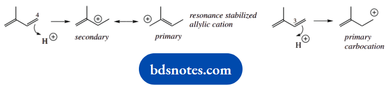 Organic Chemistry Of Pharmacy Questions And Answers Protonation