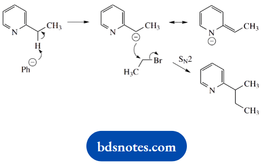 Organic Chemistry Of Pharmacy Questions And Answers Pyridine Ring To Obtain Resonance Stabilized Anion