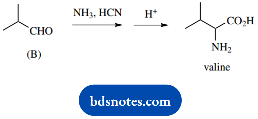 Organic Chemistry Of Pharmacy Questions And Answers Reaction Of Aldehyde With Ammonia And HCN