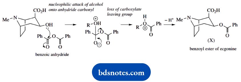 Organic Chemistry Of Pharmacy Questions And Answers Reagent Brnzoyl Anhydride An Analogue Of Acetic Anhydride 