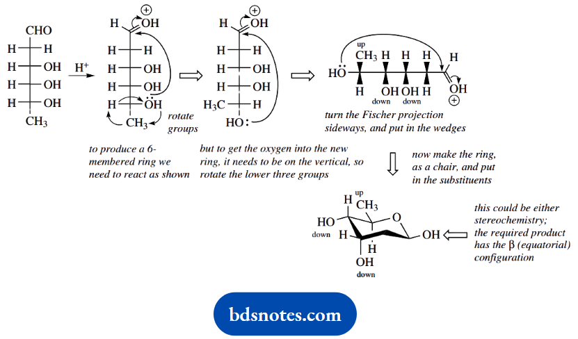 Organic Chemistry Of Pharmacy Questions And Answers Stereochemistry