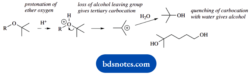 Organic Chemistry Of Pharmacy Questions And Answers Tertiary Carbocation