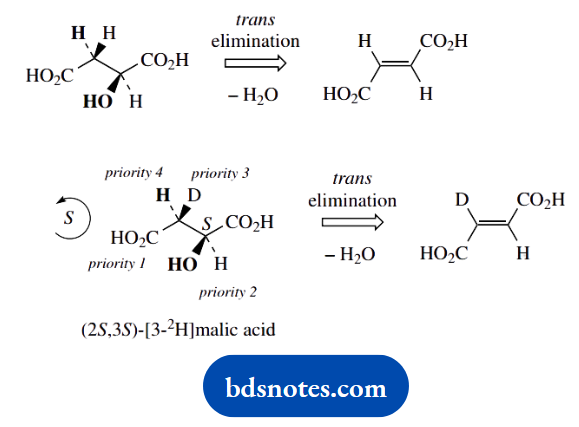 Organic Chemistry Of Pharmacy Questions And Answers Transeliminatin Of Water From Nalic Acid
