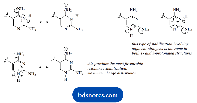 Organic Chemistry Of Pharmacy Questions And Answers Trimethoprim