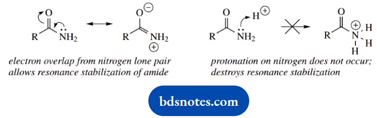 Organic Chemistry Of Pharmacy Questions And Answers Tropicamide