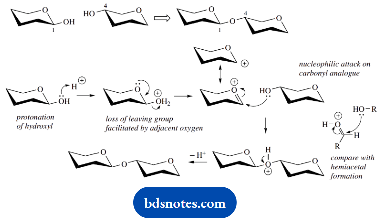 Organic Chemistry Of Pharmacy Questions And Answers Two Molecules Of Cyclic Digitoxose Is The Transformation Of A Hemiacetal An Acetal
