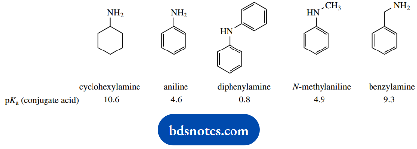 Organic Chemistry Of Pharmacy Questions And Answers Values Determined For The Five Amines