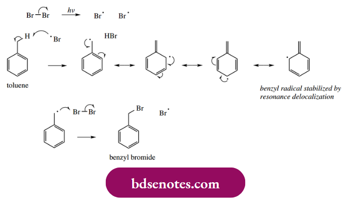 Radical Reactions A Benzylic Radical Toluene Reacts With Bromine Or Chlorine Atoms