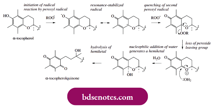 Radical Reactions Antioxidants Are Compounds That Inhibit Autoxidation Reaction