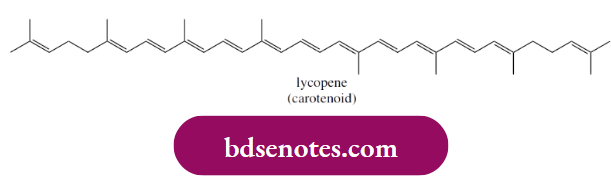 Radical Reactions Carotenoids Are Plant Chemicals That Function