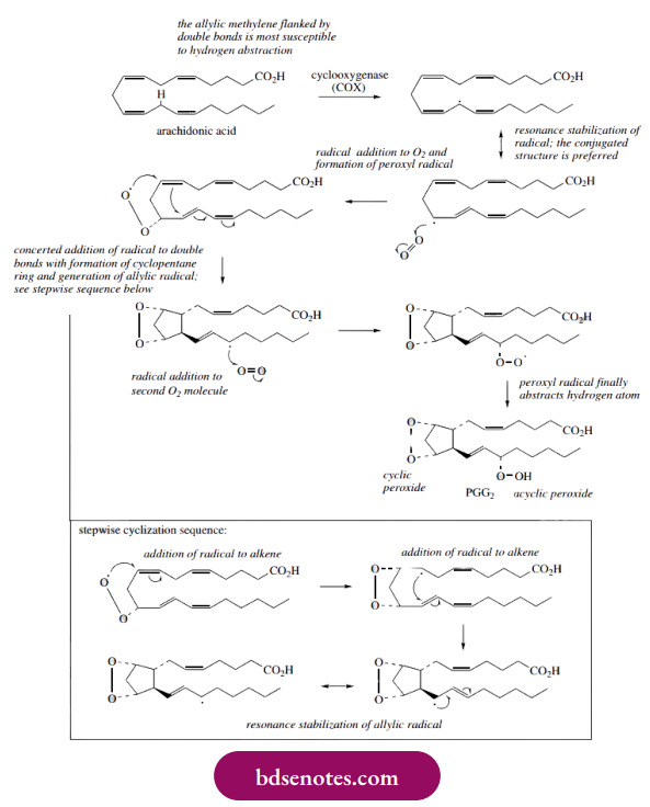 Radical Reactions Radical Oxidations In Prostagl And In Biosynthesis Cyclo Oxygenase
