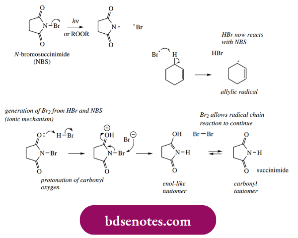Radical Reactions Reagent Is N-Bromosuccinimide (Nbs), And It Also Reacts Via A Radical Mechanism