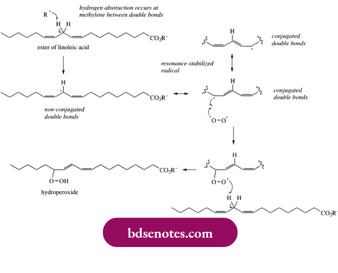 Radical Reactions The Cause Of Rancidity, The Unpleasant Odour And Taste Associated