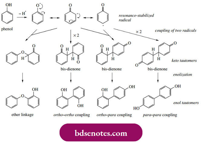 Radical Reactions The Original Oxygen Function