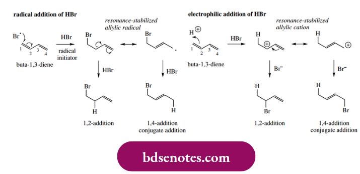 Radical Reactions The Terminal Carbon Atom