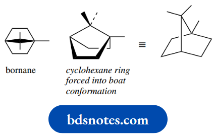 Stereochemistry Bridged Ring Systems