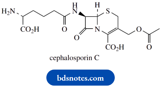 Stereochemistry Cephalosporins